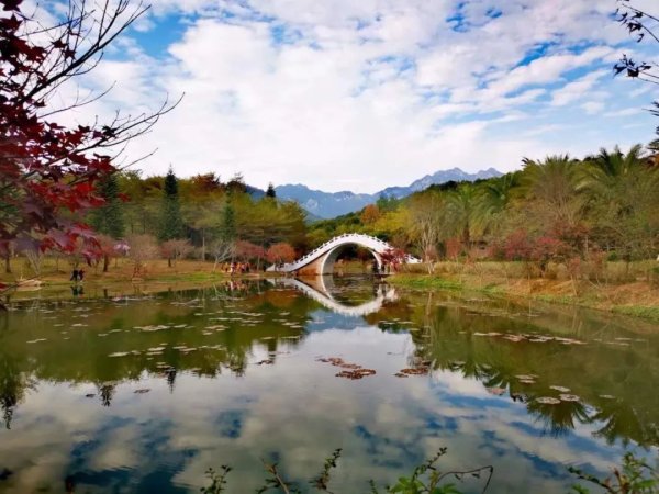港股股票配资平台 巴菲特再次减持比亚迪，股神多次减持的意图是什么？